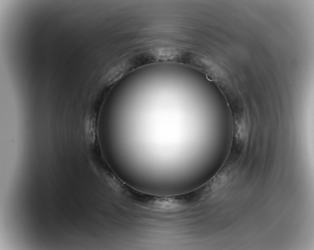 X0000098080666200804110944