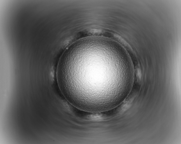 X0000098080668200804110944