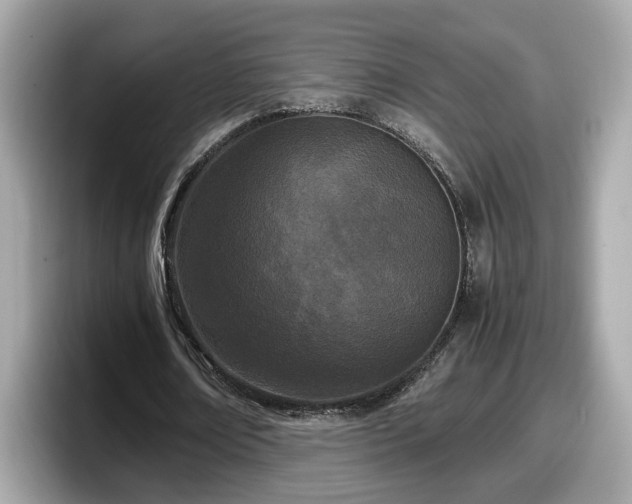 X0000098080674200804110943