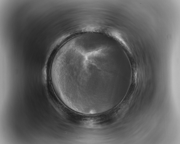 X0000098080678200804110943