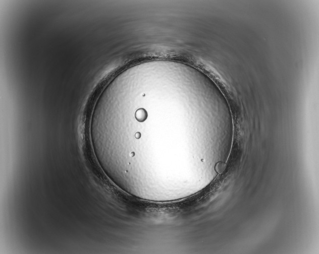X0000098080679200804110943