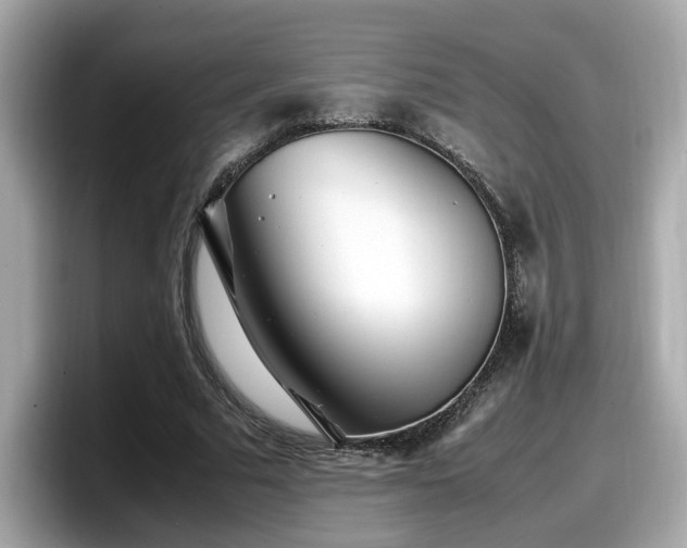 X0000098080681200804110943