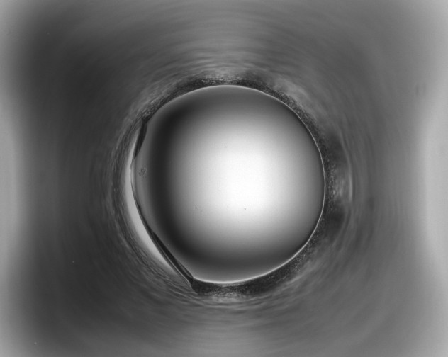 X0000098080685200804110943