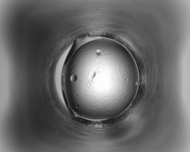 X0000098080687200804110943
