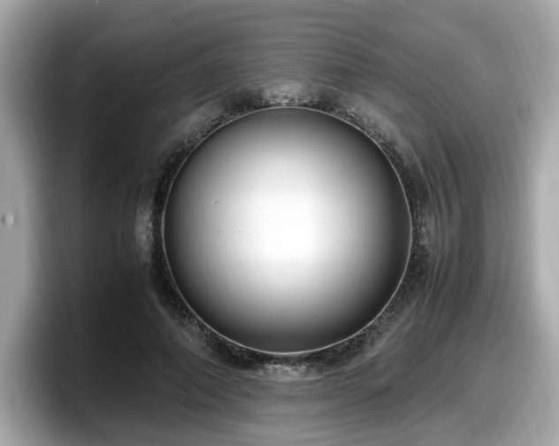 X0000098080690200804110943