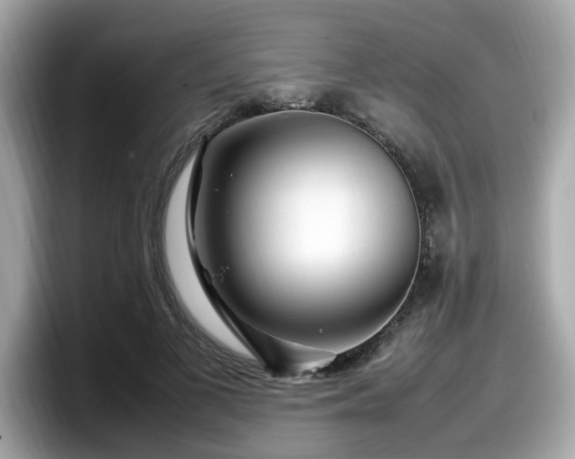 X0000098080693200804110943