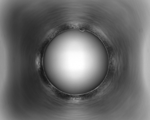 X0000098080694200804110943