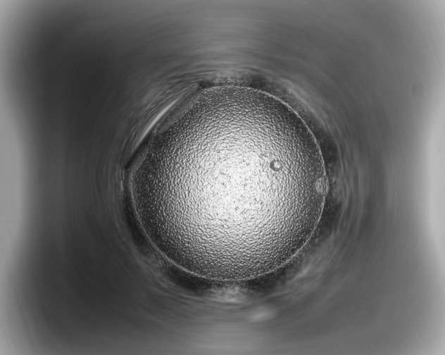 X0000098080695200804110943