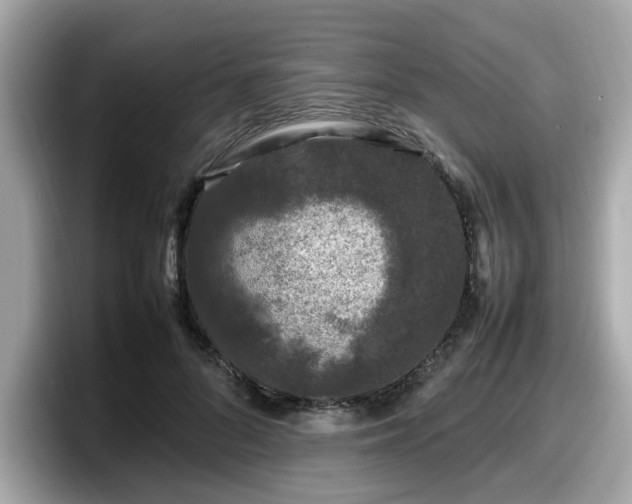 X0000098080696200804110943