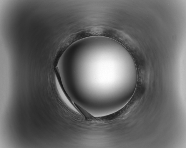 X0000098080697200804110943