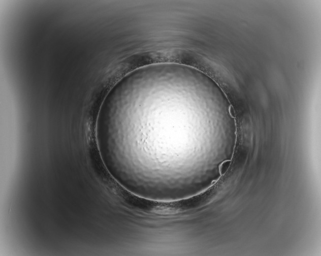 X0000098080699200804110943