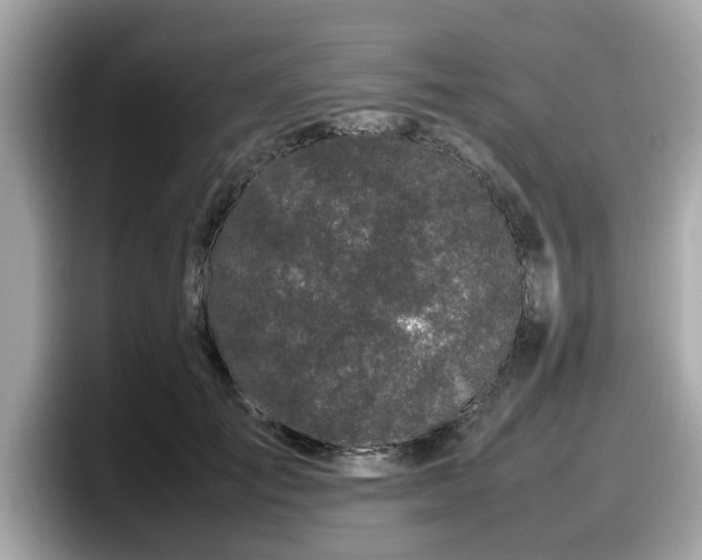 X0000098080701200804110943