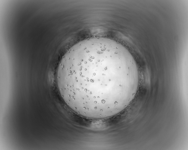 X0000098080705200804110943