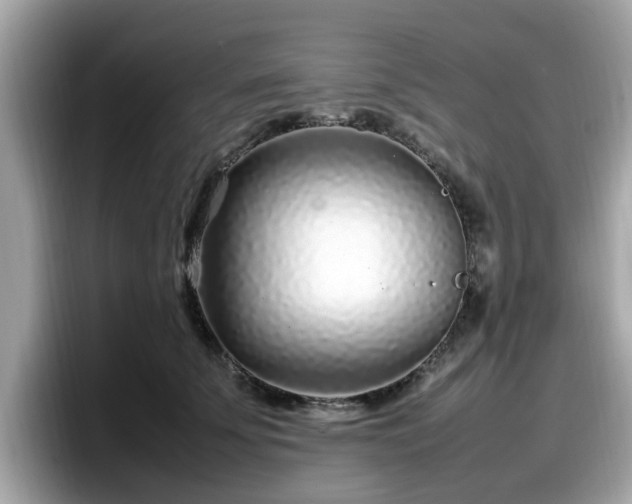 X0000098080707200804110943