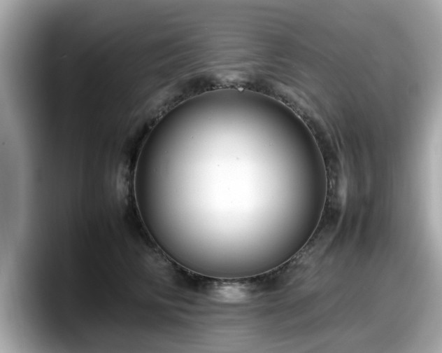 X0000098080710200804110943