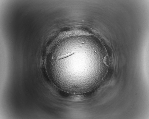 X0000098080711200804110942