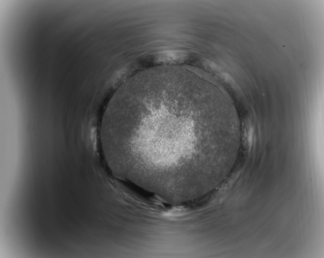 X0000098080716200804110942