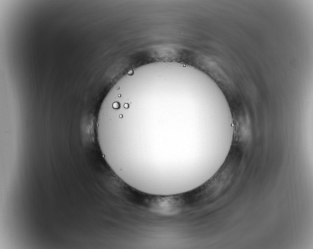 X0000098080717200804110942