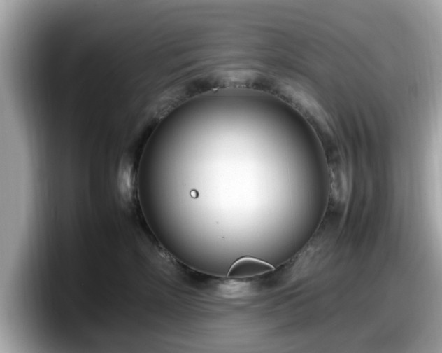 X0000098080718200804110942
