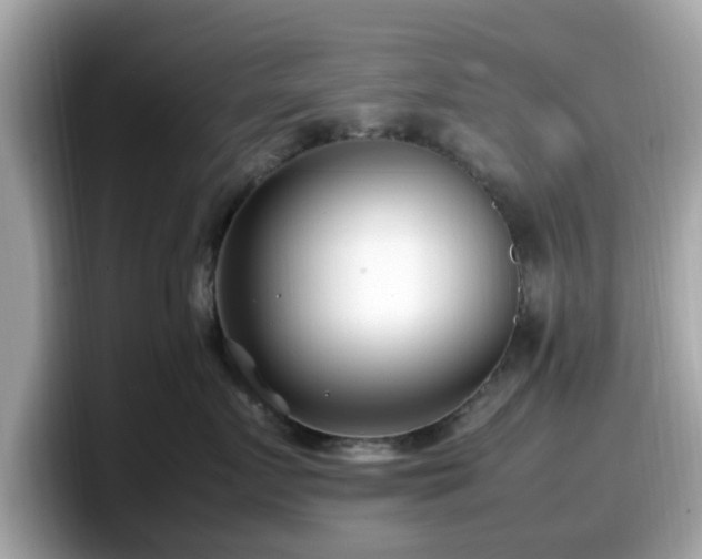 X0000098080719200804110942