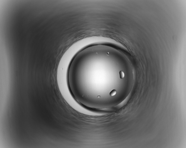 X0000098080720200804110942