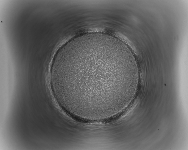 X0000098080721200804110942