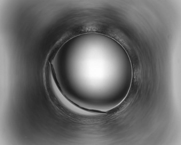 X0000098080722200804110942
