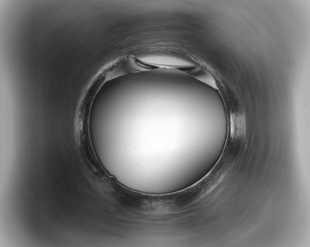 X0000098080723200804110942