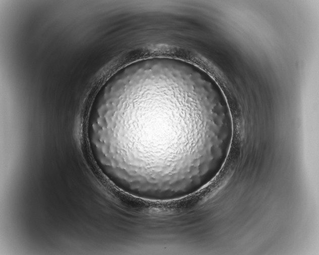 X0000098080725200804110942