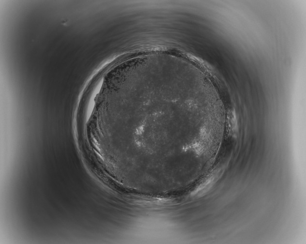 X0000098080726200804110942