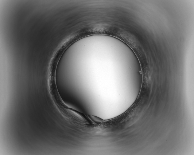 X0000098080728200804110942