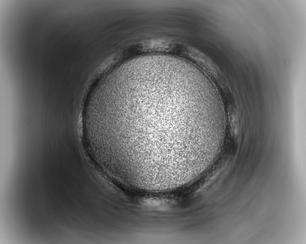 X0000098080729200804110942
