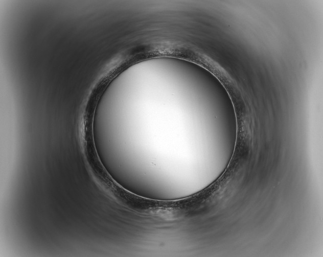X0000098080730200804110942