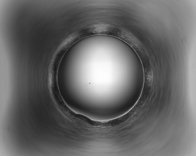 X0000098080732200804110942