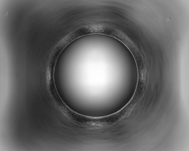 X0000098080733200804110942