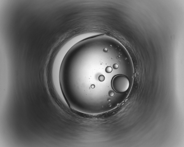 X0000098080734200804110942