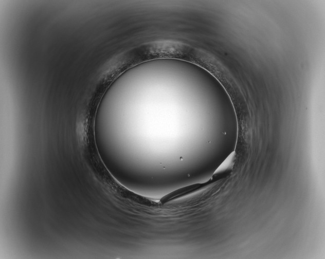 X0000098080735200804110942