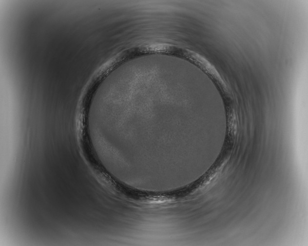 X0000098080736200804110942