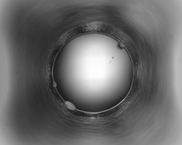 X0000098080737200804110942