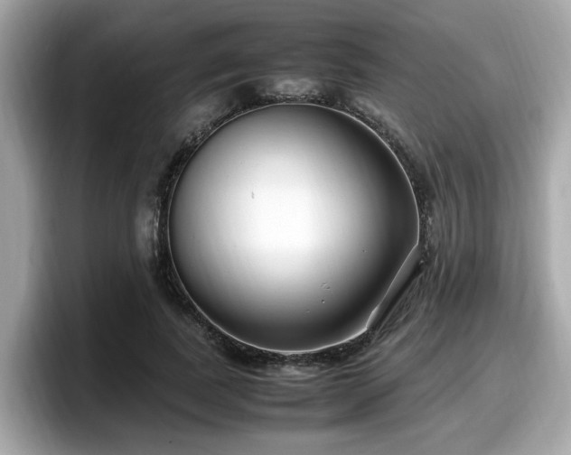 X0000098080739200804110942