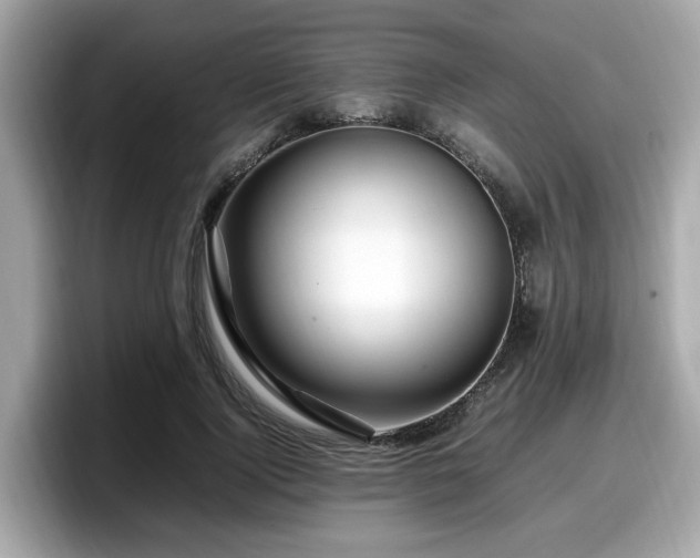 X0000098080740200804110942