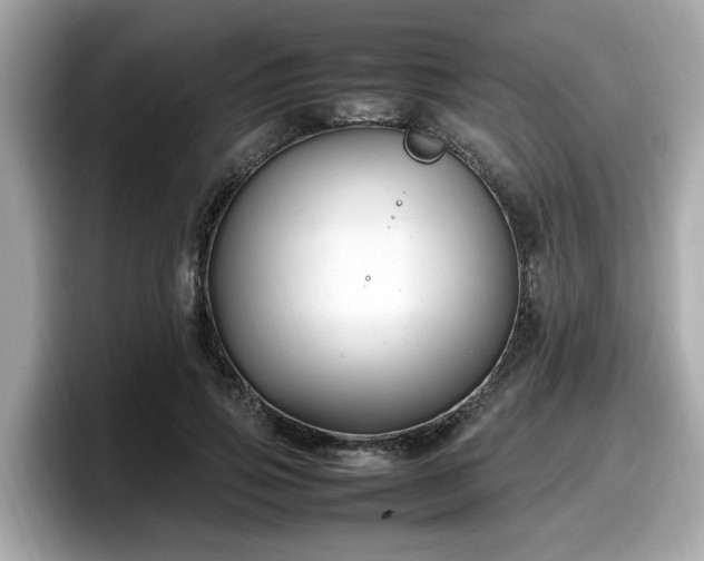 X0000098080741200804110942
