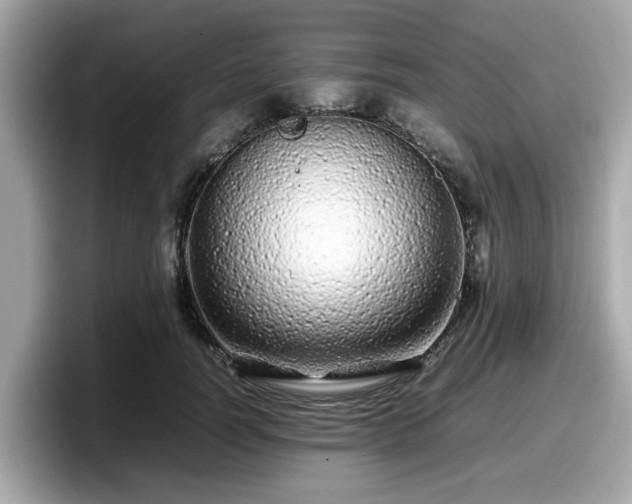 X0000098080746200804110942
