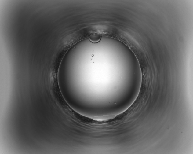 X0000098080747200804110942