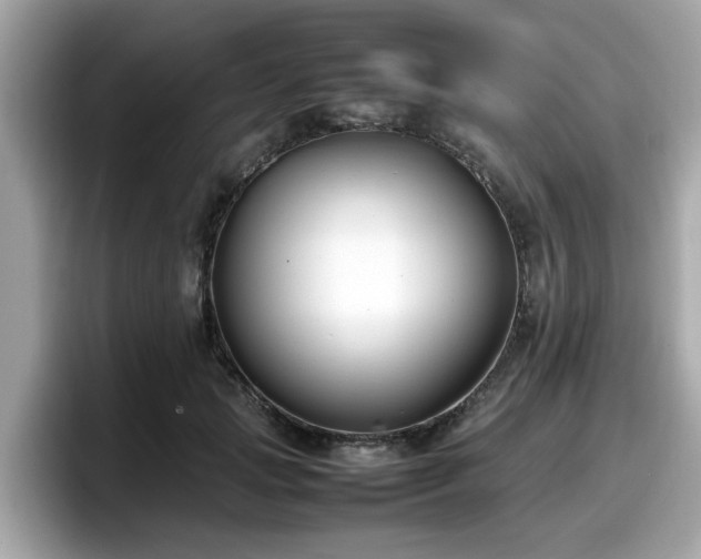 X0000098080749200804110942