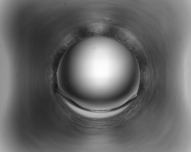 X0000098080750200804110942