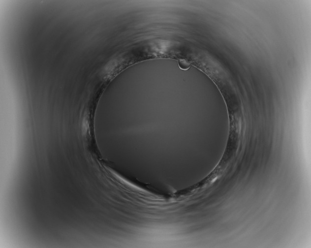 X0000098080754200804110942