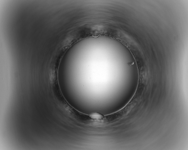 X0000098080756200804110942