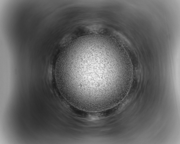 X0000098080757200804110942