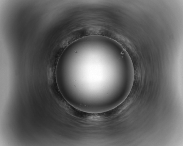 X0000098080759200804110942